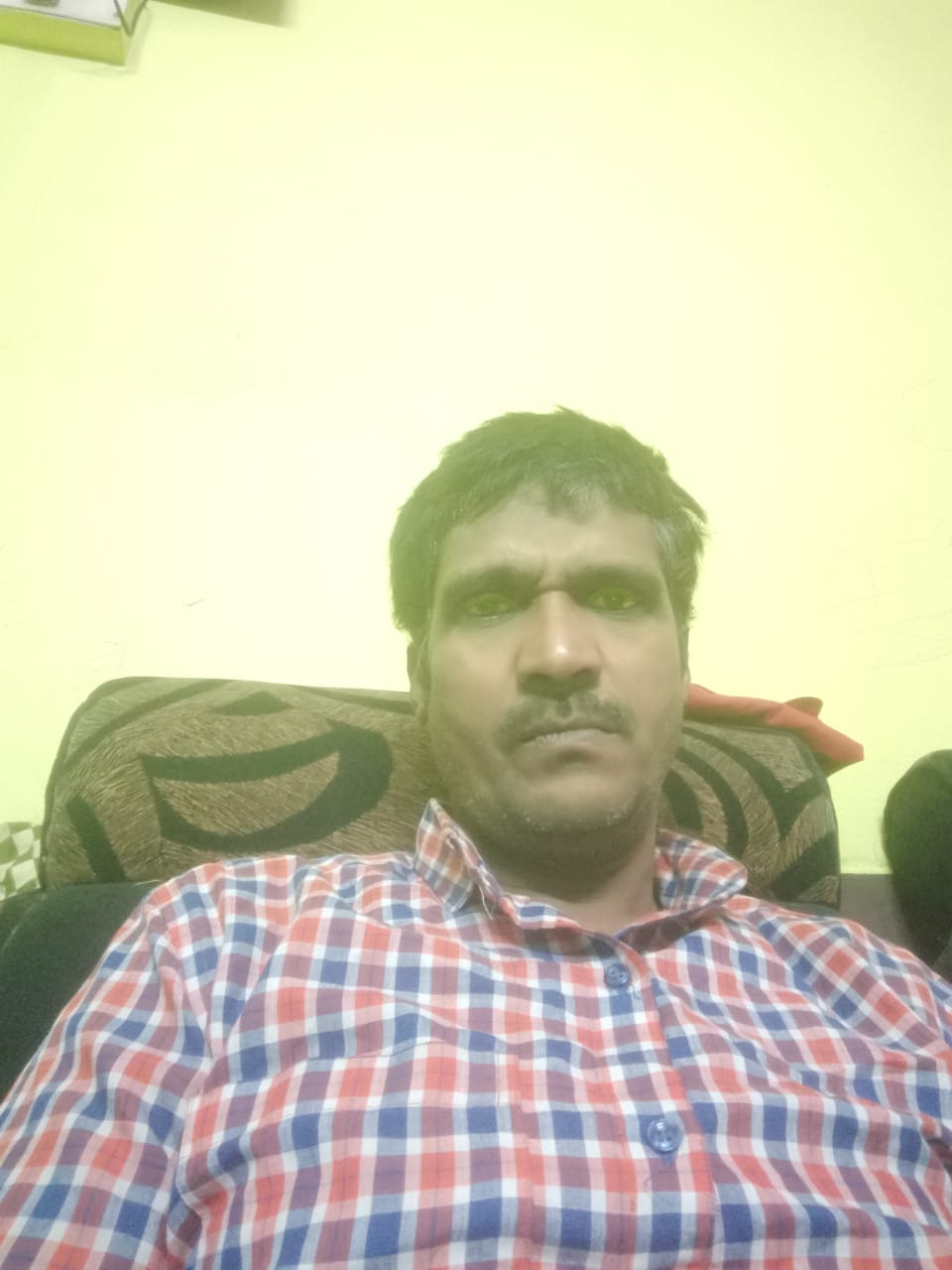 member Profile